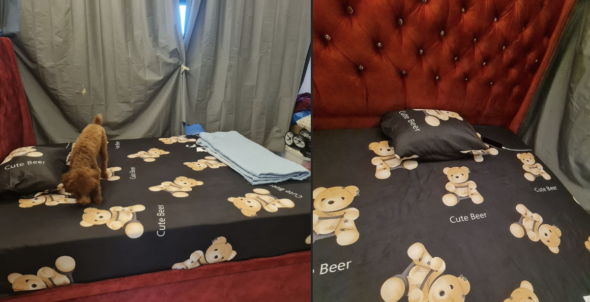 Cute "Beer" or Cute "Bear"? — Spelling on bedsheet gone wrong; Singaporeans puzzled
